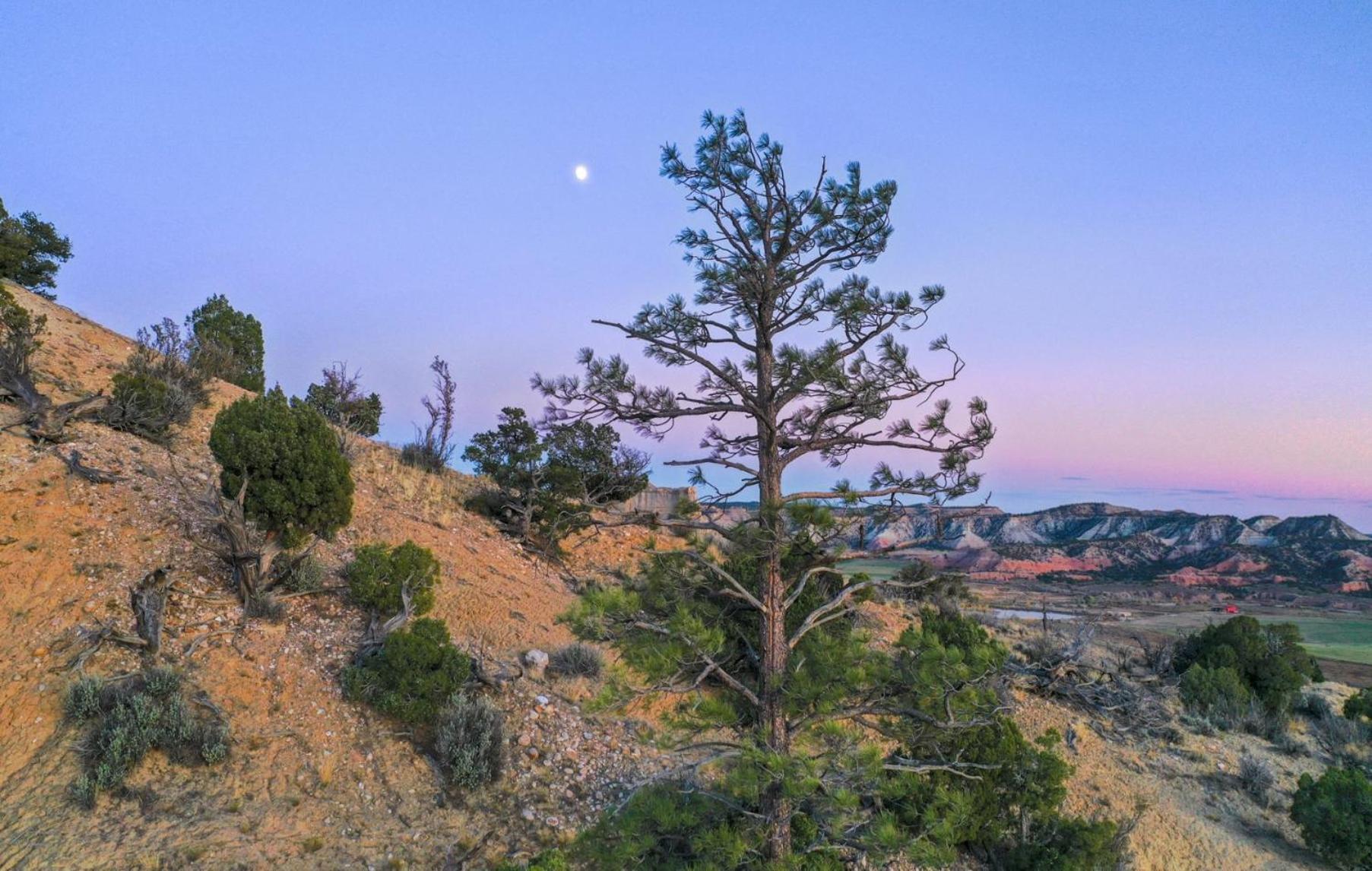 Clear Sky Resorts - Bryce Canyon - Unique Stargazing Domes كانونفيل المظهر الخارجي الصورة